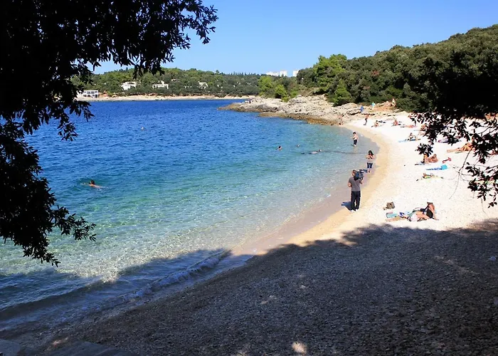 With Wifi - 17913 풀라